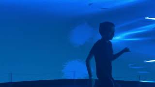 IMG 3826 IMG 3826