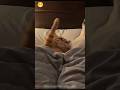 “Snooping champion!”🤣#shorts #shortsfeed #comedy #funnyshorts #foryou #viral #malotimurmu