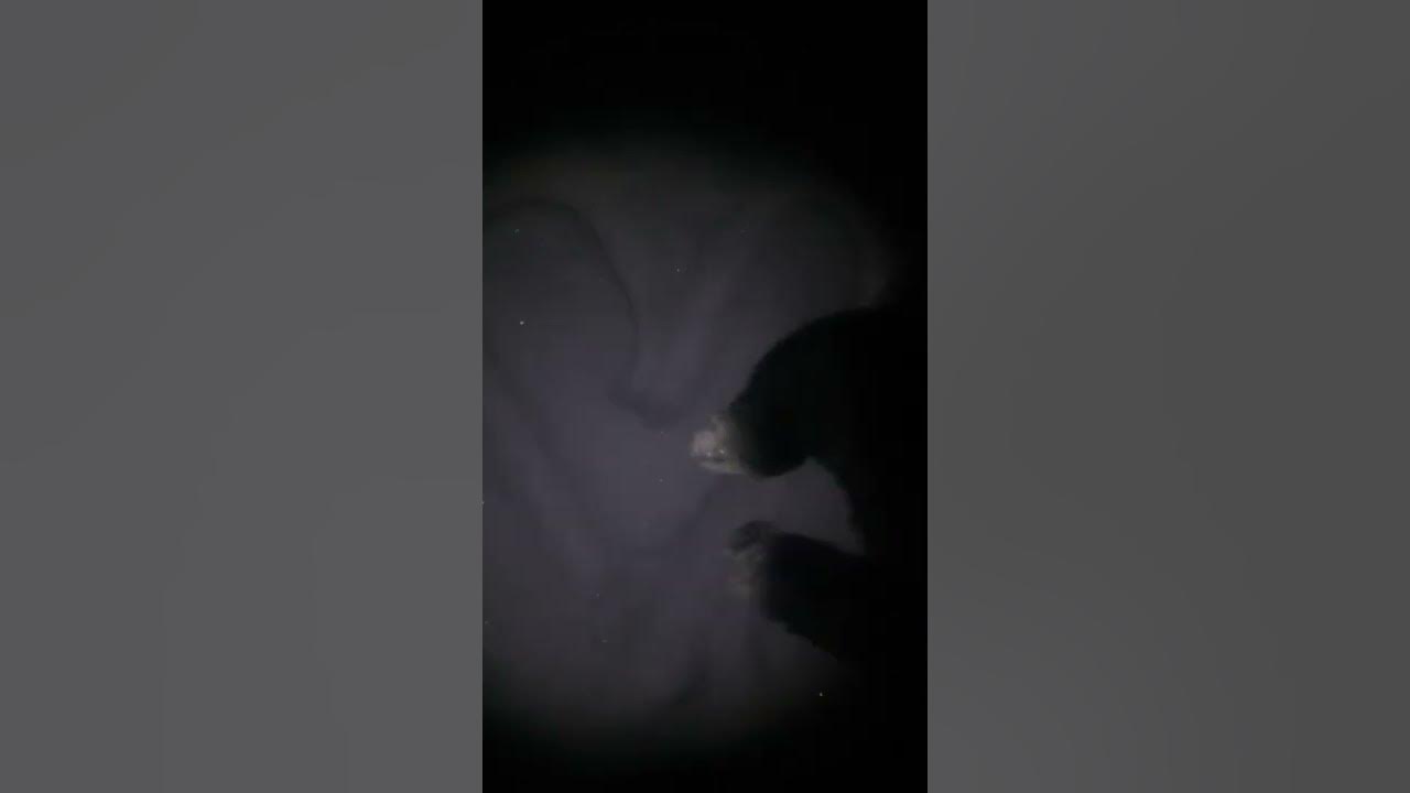 лайк - YouTube