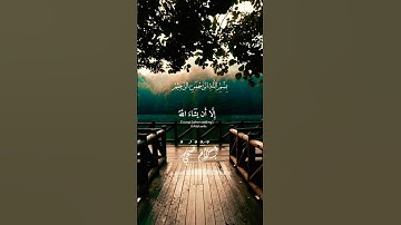 تلاوة هادئة تريح القلب للقارئ اسلام صبحي #اكسبلور #quran #لايك #قرآن #ارح_قلبك #راحة_نفسية #duet