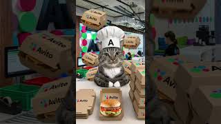 Самый быстрый инженер ВООБЩЕ не ускоряет разработку #avitotech