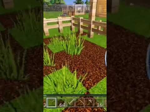 Видео: хавчик овечкам#самоеинтересное видео #minecraft