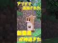 新要素！これ知らない人は損してる！【マインクラフト】