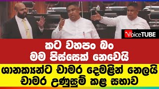 කට වහපං බං, මම පිස්සෙක් නෙවෙයි - ශානක්‍යන්ට චාමර දෙමළින් නෙලයි | චාමර උණුසුම් කළ සභාව