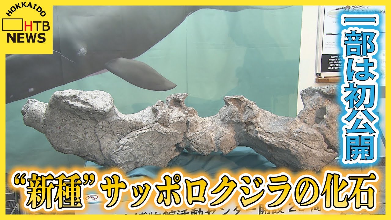 すごいロマン」900万年前 海だった札幌に住んでいた？“新種