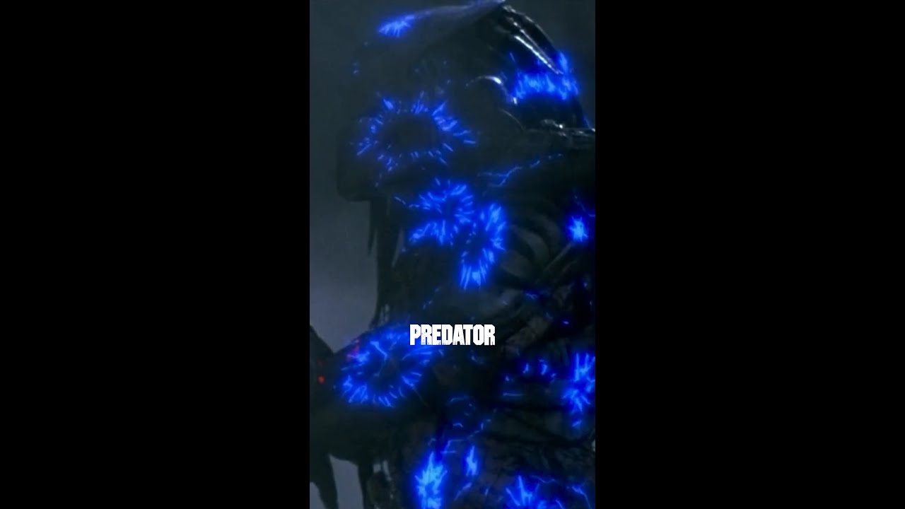 W&auml;rmebild hilft da eben nicht viel. 🔥 #Predator jetzt bei #Sky.