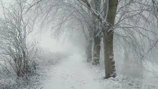 Liquid Fraction - Snow Bar - Deep Ambient DuB Techno Mix - Dec 20th  2022.