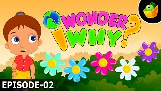 why do flowers have different colours i wonder why amazing interesting fun facts for kids