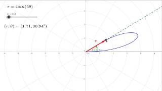 Details Polar Graphing Demo Update