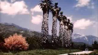 Earth Days 2009   Full Movie dc  14
