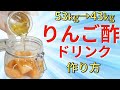 【リンゴ酢ダイエット】1日1杯で-10kg！お酢の正しい飲み方！腸活で脂肪燃焼する方法【綺麗やせ】