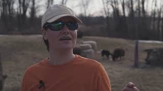 Jill of all Trades: Locust Hollow Sheep Farm