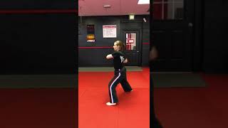 Form- Double Block, Sudo, Front Kick, Sudo, Sudo