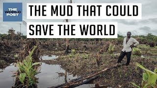 The Mud That Could Save The World