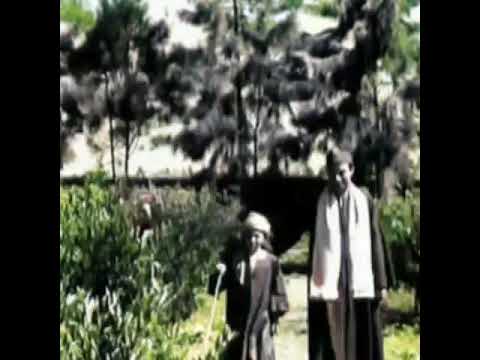 سيد إسماعيل حبيت بلدى وعشان بلدى