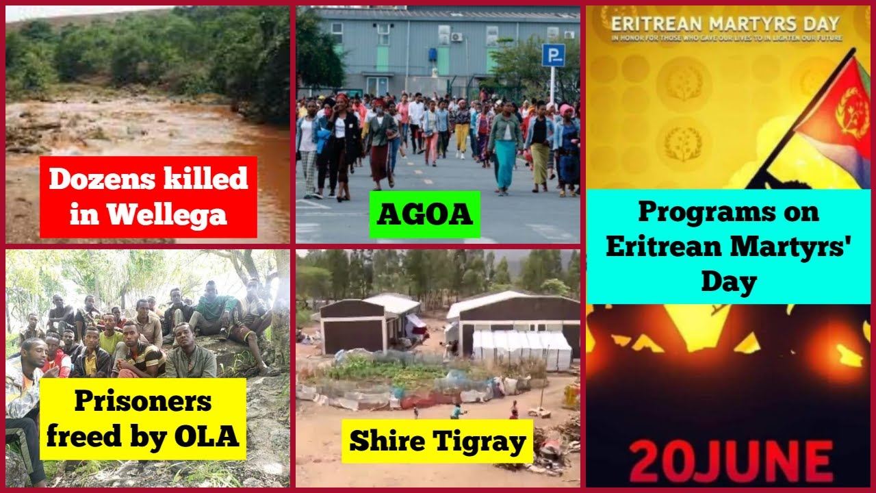 Eritrea | West Wellega | AGOA Ethiopia | OLA Oromia | Shire Tigray