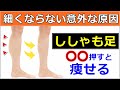 【●●押すだけ】ししゃも足を細くする方法が判明【ふくらはぎ痩せ】