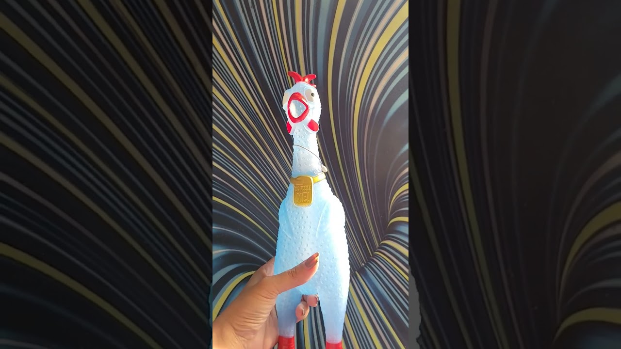 Animolds Squeeze Me Rubber Chicken Toy