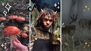 Goblincore & Dark Cottagecore 🍄 TikTok Compilation 🐸