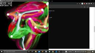 Complex Behavior of Simple System | Slime Simulation | Path Finding | Jaysmito Mukherjee