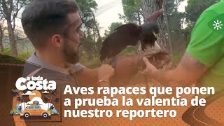 A toda costa | Una exhibición de aves rapaces que ponen a prueba la valentía de nuestro reportero