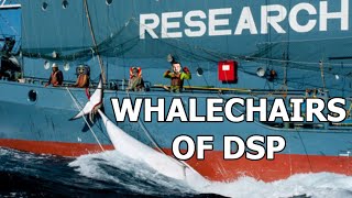 Whalechairs of DSP