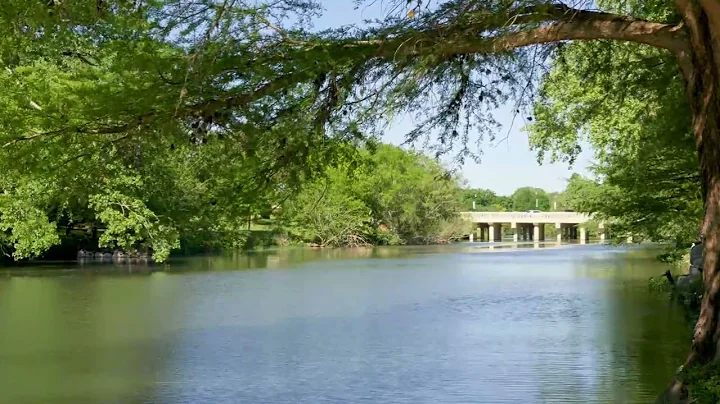 Automation Test - 11-18-2025_12-52-25-PM