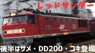 【4060レと無動力回送あり8864レ】赤い機関車と青い機関車の貨物列車 20230901