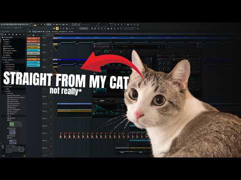 my cat composed this for absolutely no reason