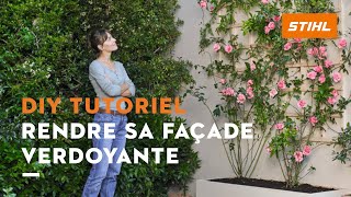 Instructions Végétaliser Une Façade Diy Tutoriel