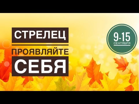 Таро для льва на сентябрь 2025. Таро для льва на сентябрь 2025