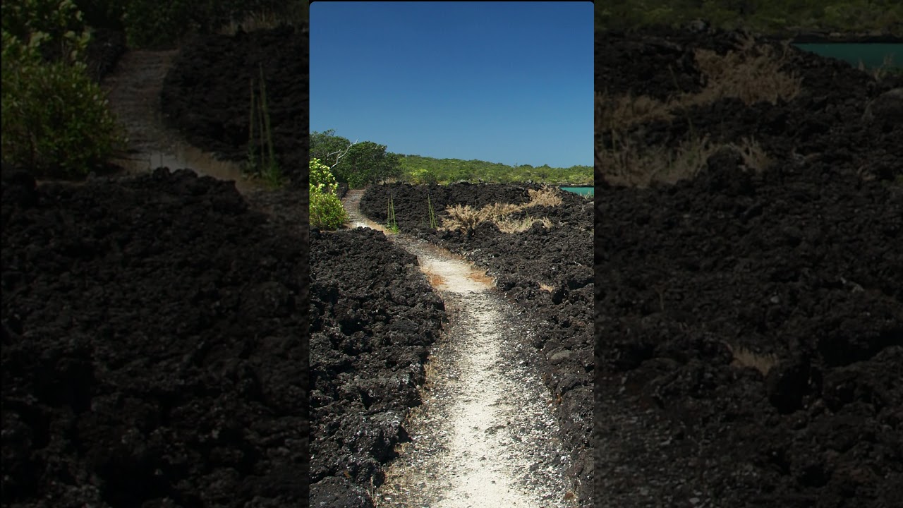 Rangitoto Island Lava Cave | Auckland's Hidden Volcanic Wonder | Kayani Roams NZ