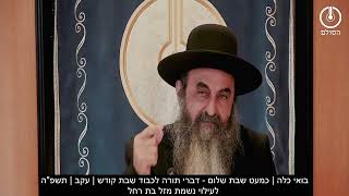 בואי כלה | כמעט שבת שלום - דברי תורה לכבוד שבת קודש | עקב | תשפ"ה