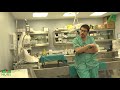Futuros residentes - Unidad de Anatomía Patológica del Hospital Reina Sofía
