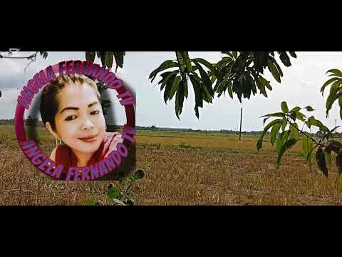 ENHANCE KINARAY-A SONG "PROBINSYANANG GWAPA"WITH ANTIQUE 'S PRIDE CULTURE