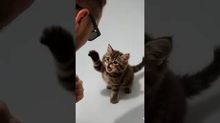 THE #SCARIEST #MONSTER #EVER 😭,#shorts #viral #funny #comedy #meme #loop #4k #cat #cinematic #fyp