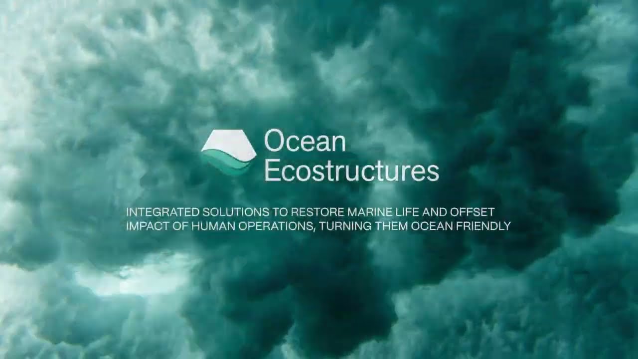 Ocean Ecostructures. From Grey Spaces to Blue Oases