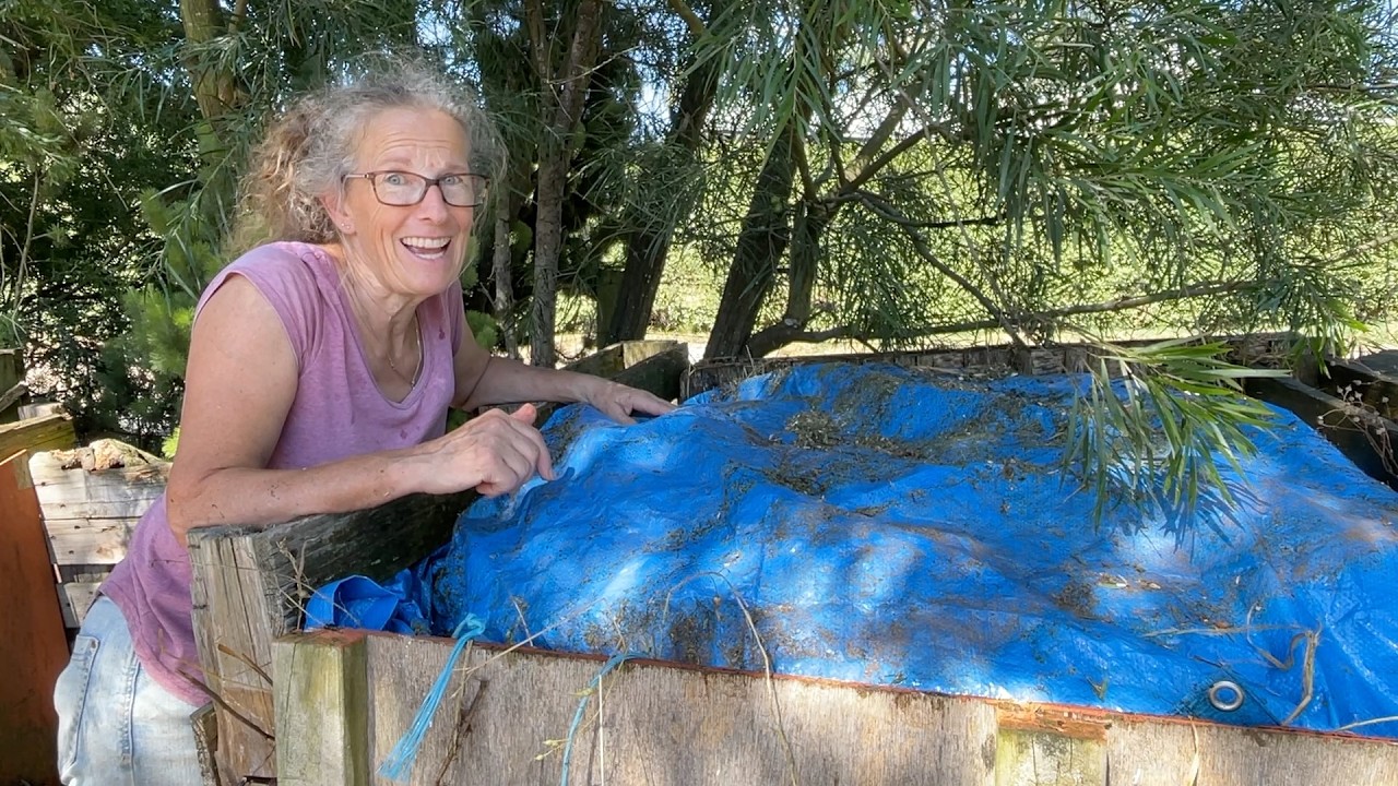 Сбор урожая нектаринов и создание 18-дневной компостной кучи | Дневник, эпизод 5