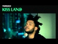 The Weeknd  -  Professional