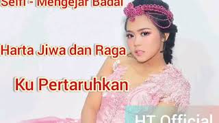 Selfi - Mengejar Badai (STORY WA LIRYK)