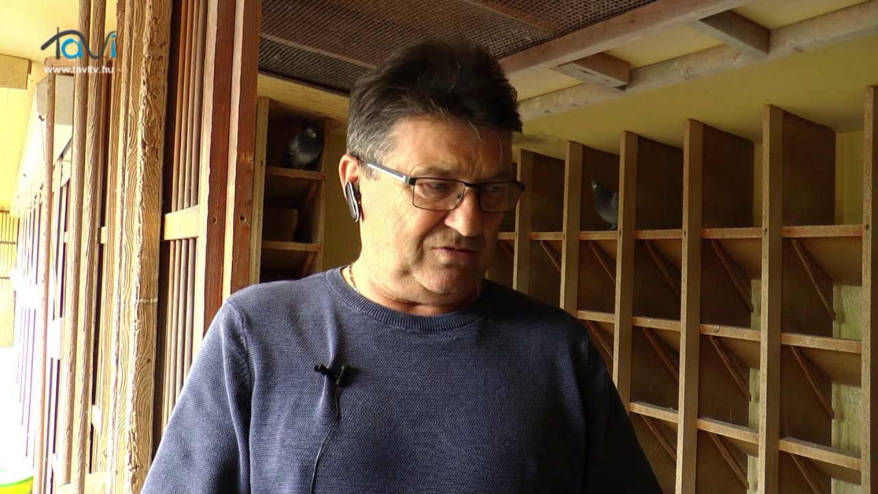 A marcali Galamb-Ász – Tavi TV