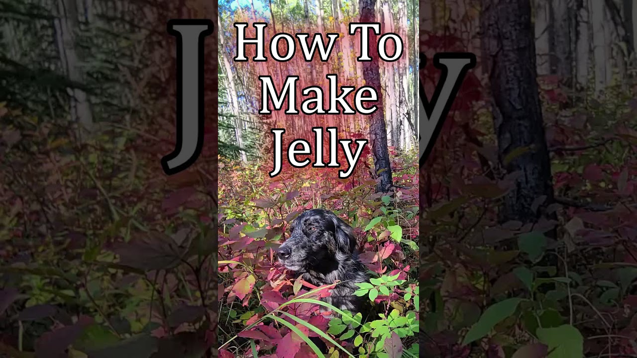 How to Make Wild Cranberry Jelly - Canning - Self Reliance - Eat Wild