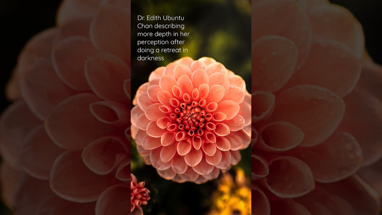 Beautiful description of subtle perception by 