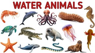 Water Animals !! Facts About Some Water Animals || Saba Study Classes #wateranimals