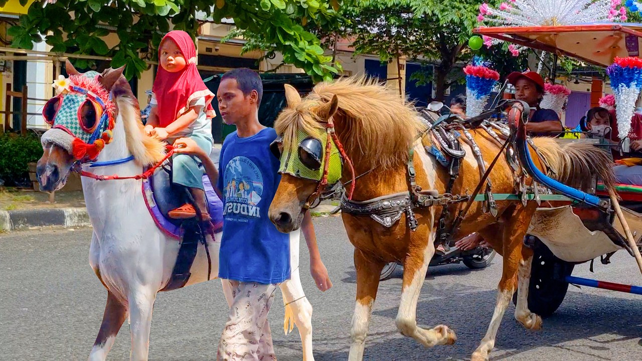 СПЕЦИАЛЬНАЯ КОННАЯ ПРОГУЛКА С ЛОШАДЬЮ ДЕЛМАНА 🐎 ДЕТСКАЯ ПЕСНЯ - ЛОШАДЬ ДЕЛМАНА