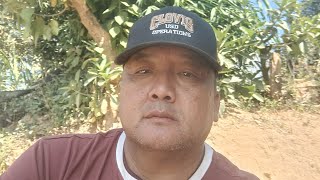 Download Lagu 17 January 2026 ua txhab hnoob thib ob MP3