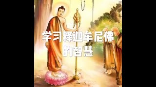 201804 学习释迦牟尼佛的智慧20900