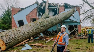 Dangerous Fastest Idiots Cutting Tree Fails Skill With Chainsaw | Tree Falling on Houses #13