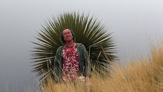 FIELD TRIP WITH PATRICK BLANC IN PERU - ALTIPLANO TO PUERTO MALDONADO & LAKE TITICACA
