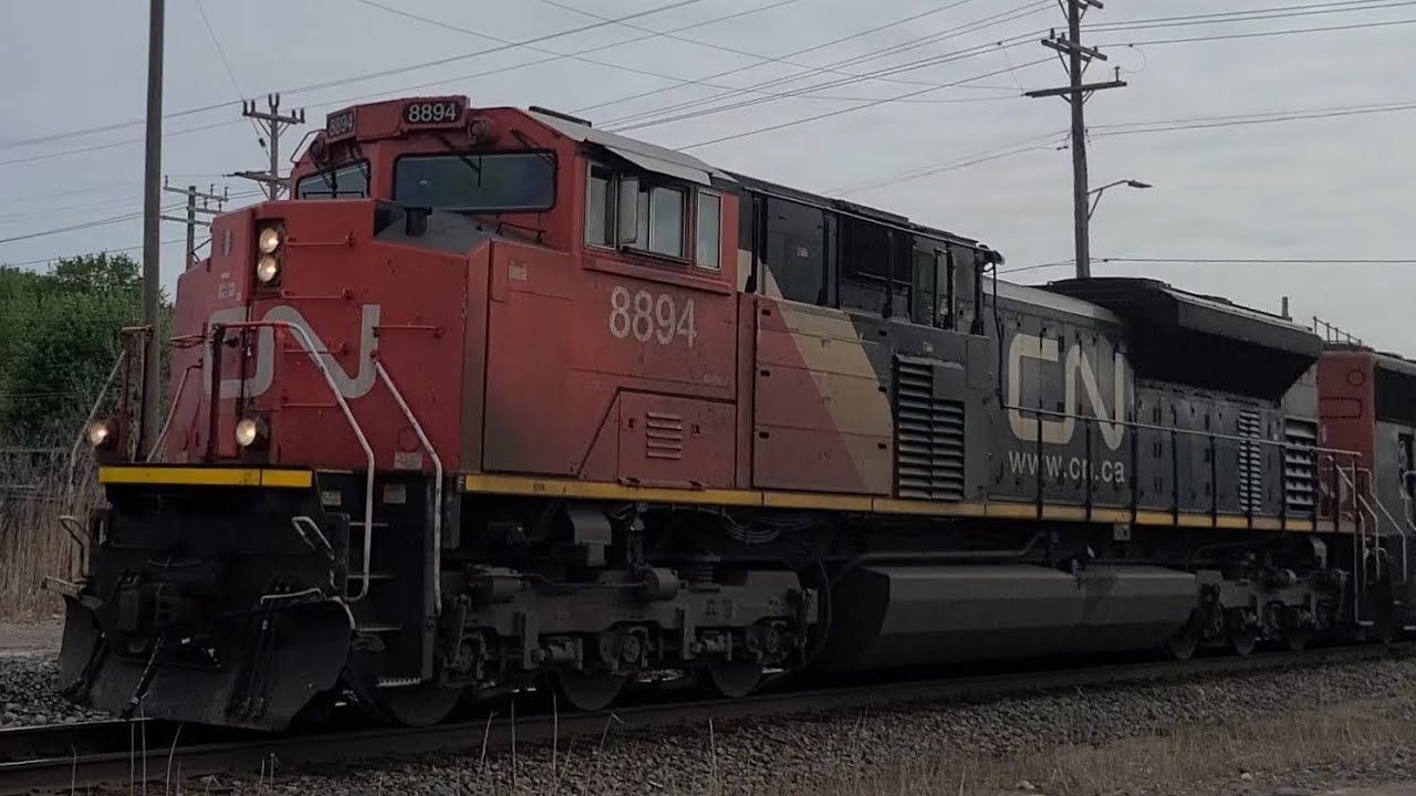 CN 8894